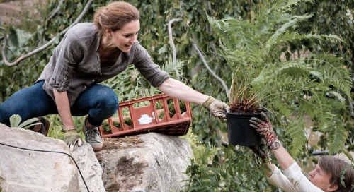 Prince William & Kate Middleton Blasted For Lavish Spending – Was Pricey Hedge Really Necessary?