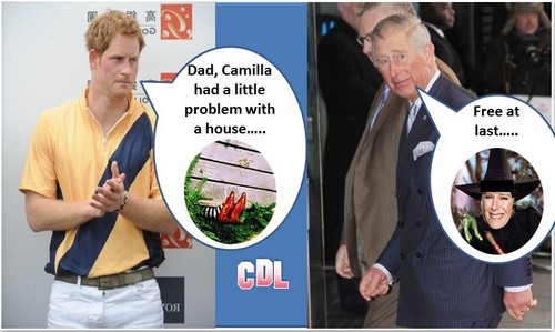 Prince Harry Defends Kate Middleton and Attacks Wicked Stepmother Camilla Parker-Bowles (Photo)
