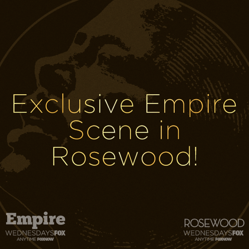 Rosewood Recap 11/4/15: Season 1 Episode 6 “Policies and Ponies”
