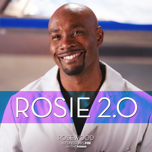 Rosewood Recap 4/20/16: Season 1 episode 17 “Silkworms y Silencio”