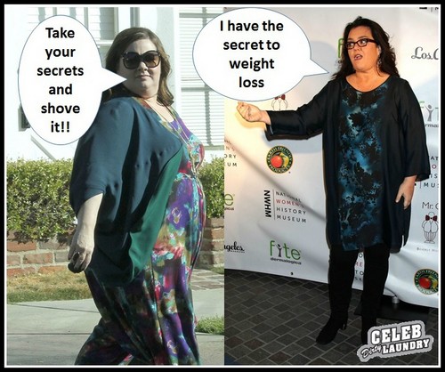 Rosie O’Donnell Returning to the View Now that Elizabeth Hasslebeck is Gone!