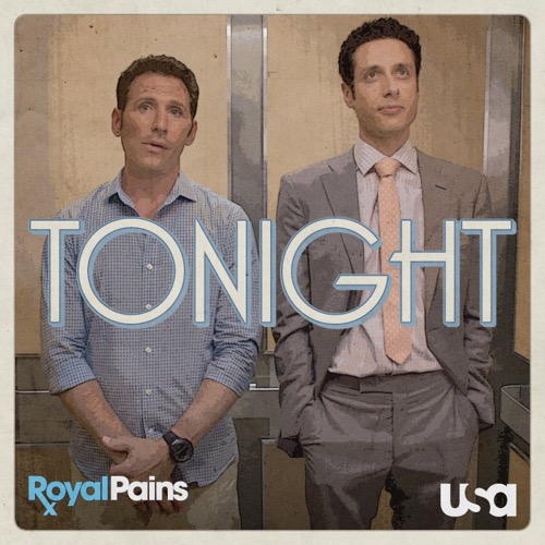 Royal Pains Recap 5/25/16: Season 8 Episode 2 “Palpating the Orbital Rim”