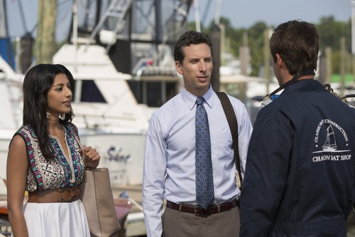 Royal Pains Recap 8/19/14: Season 6 Episode 11 “Hankmed On The Half Shell”