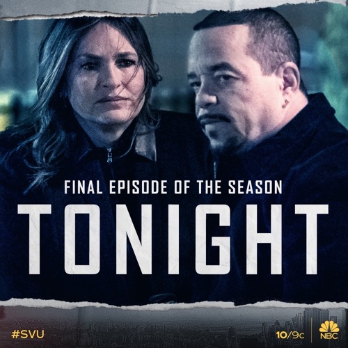 Law & Order SVU Finale Recap 04/23/20: Season 21 Episode 20 “The Things We Have To Lose”