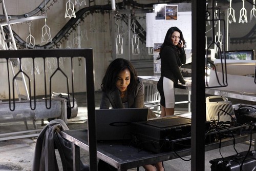 Scandal RECAP 4/10/14: Season 3 Episode 17 “Flesh and Blood”