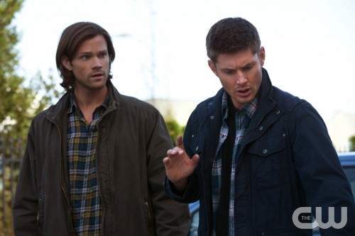 Supernatural RECAP 11/5/13: Season 9 Episode 5 “Dog Dean Afternoon”