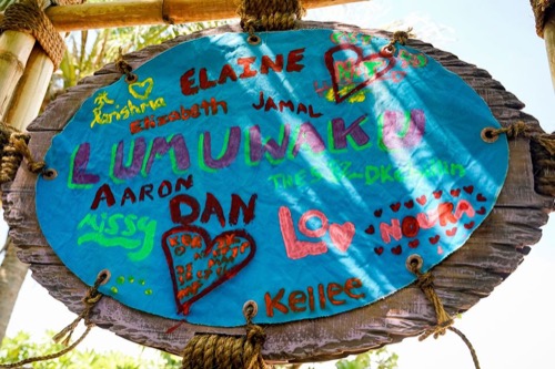 Survivor Recap 11/20/19: Season 39 Episode 9 “Two For The Price Of One”