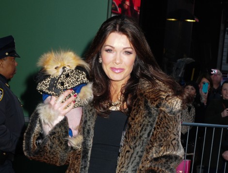 Lisa Vanderpump: Dancing With The Stars Gig Turning Housewives Against Her!