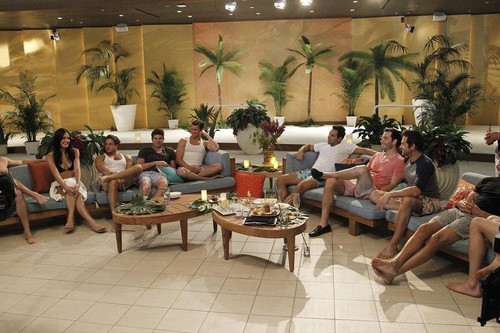 The Bachelorette 2013 Desiree Hartsock Episode 4 RECAP 6/17/13