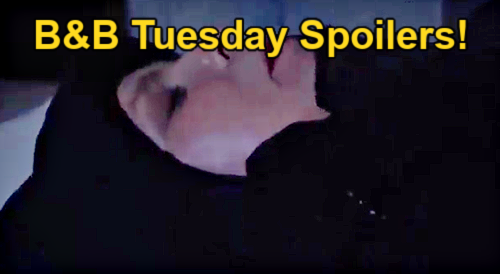 The Bold and the Beautiful Spoilers: Tuesday, February 27 – Paramedics Confirm Sheila’s Death – Finn Comes Home to Chaos
