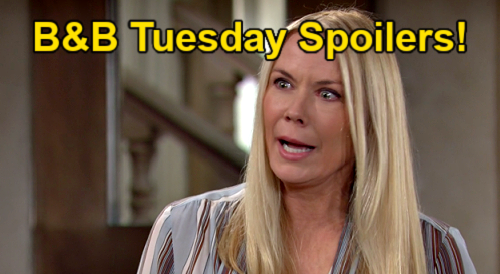 The Bold and the Beautiful Spoilers: Tuesday, May 17 – Brooke’s Plea Forces Ridge’s Choice – Taylor Confesses to Steffy