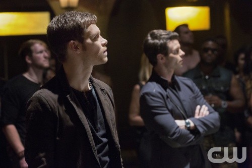 The Originals Season 1 Episode 7 Review – Spoilers Episode 8 “The River in Reverse”