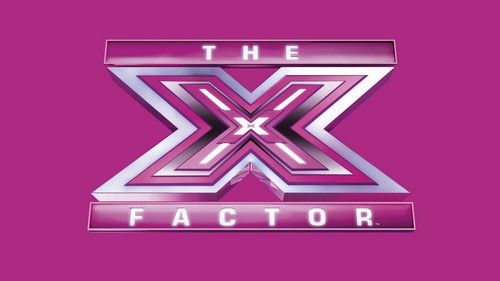 The X Factor RECAP 9/25/13: Season 3 “Auditions #5”
