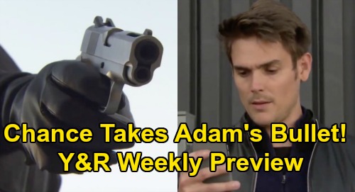 The Young and the Restless Spoilers: Week of November 9 Preview – Chance Takes a Bullet For Adam – Abby’s Proposal – Sally Rejects Theo