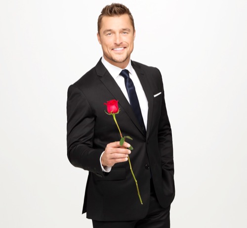 The Bachelor 2015 Recap “Chris Soules Tells All” Season 19 – Andi Dorfman Sobs, Fake Kelsey and Hot Britt!