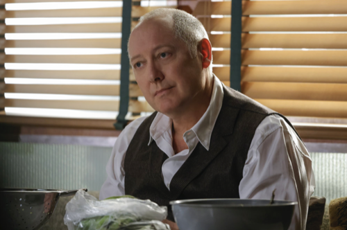 The Blacklist Recap 01/13/22: Season 9 Episode 8 “Dr. Razmik Maier”