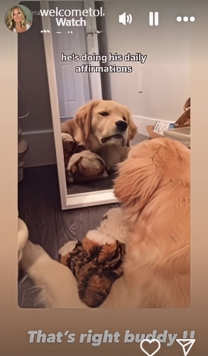 Laura Wright Shares Cutest Post Of Her Sweet Pup