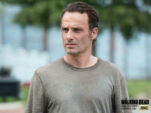 The Walking Dead Season 5 Spoilers: Will Rick Find Love Again, and With Whom?