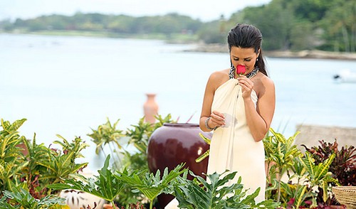 The Bachelorette Finale 2014 Recap: Josh Murray Wins – Andi Dorfman Engaged – Season 10