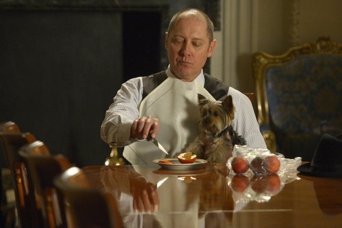 The Blacklist RECAP 5/12/14: Season 1 Finale “Berlin: Conclusion”