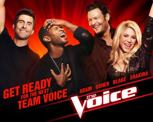 The Voice RECAP 4/29/13: Season 4 “The Knockouts, Part 1”