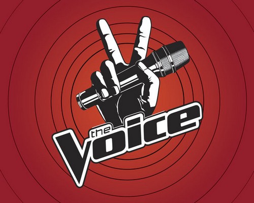 Who Got Voted Off The Voice Tonight 11/26/13?
