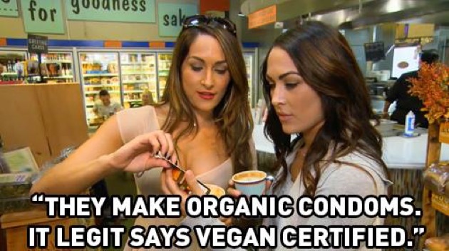 Total Divas Recap 2/8/15: Season 3 Episode 15 “Girl vs. Girl Bye”