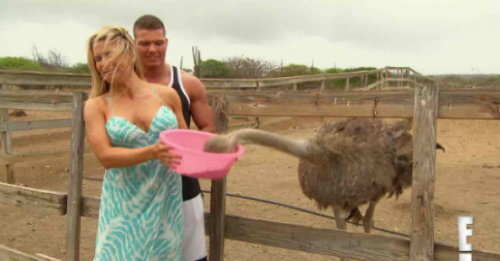 Total Divas Recap 10/12/14: Season 3 Episode 6 & 7 “Paint the Island Red; The Double-Cross”