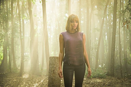 Under the Dome Series Finale Recap – A Not so Final Finale: Season 3 “The Enemy Within”
