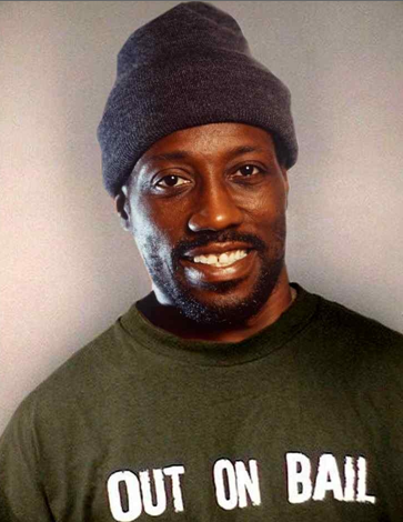 Wesley Snipes Is Hoping He Can Avoid Going To Prison