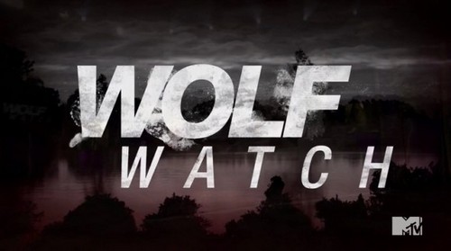 Wolf Watch Recap 8/11/14: Season 2 Episode 8
