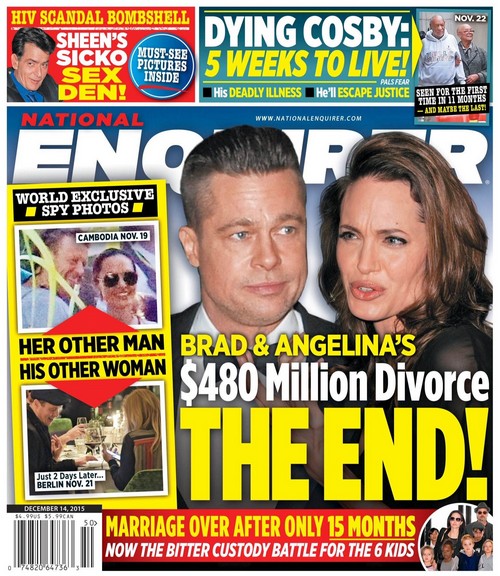 Brad Pitt and Angelina Jolie Head For Divorce: Brangelina Fighting Over $480 Million and 6 Kids?