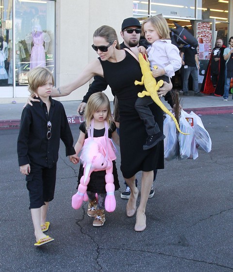 Angelina Jolie Jealous of Jennifer Lawrence and Says Some Nasty Words