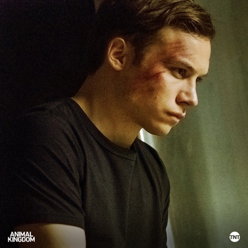 Animal Kingdom Recap 7/18/17: Season 2 Episode 7 “Dig”