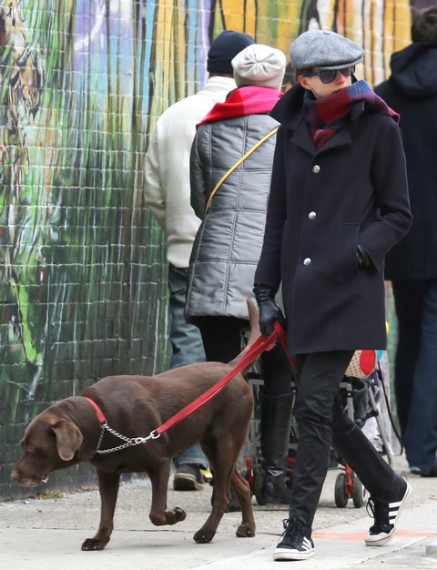 Anne Hathaway Abandons Her Old Dog For Stylish New Puppy?