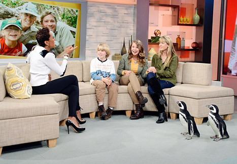 Bindi Irwin’s Grandfather Bob Upset Over Her SeaWorld Partnership