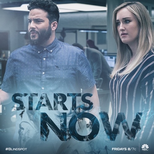Blindspot Recap 11/09/18: Season 4 Episode 5 “Naughty Monkey Kicks at Tree”