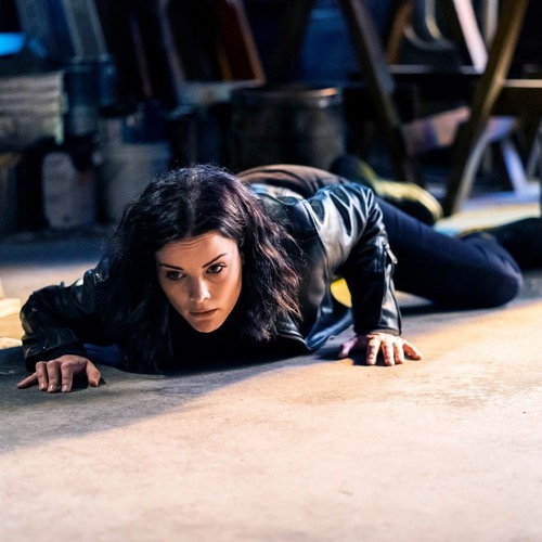 Blindspot Series Finale Recap 07/23/20: Season 5 Episode 11 “Iunne Ennui”