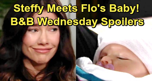 The Bold and the Beautiful Spoilers: Wednesday, January 16 – Steffy Meets Flo’s Baby, Falls In Love – Will Struggles With Dad Issues