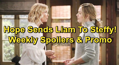 The Bold and the Beautiful Spoilers: Week of February 18 Preview – Fierce Fights, Desperate Pleas and Cowardly Silence