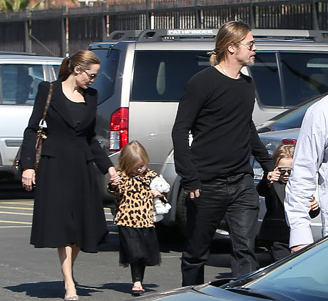 Angelina Jolie and Brad Pitt PETA Wedding Scandal: Will Elephants Be Used As Props?