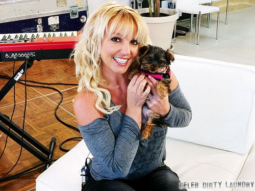 Britney Spears Is An Animal Hoarder?