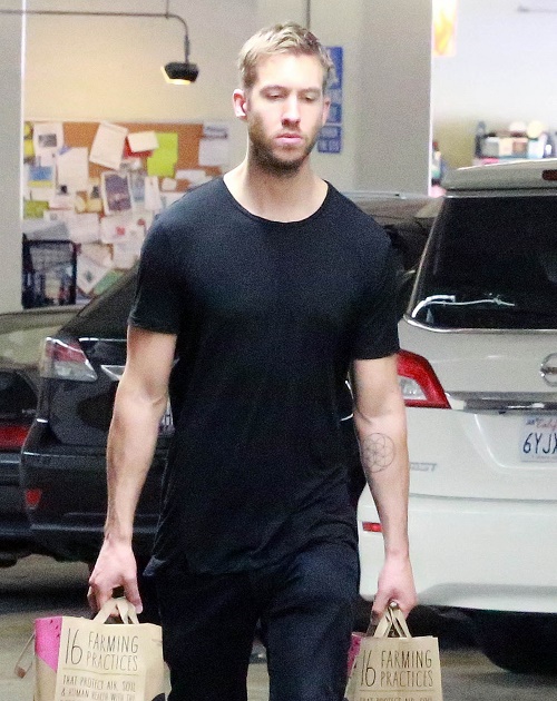 Rita Ora Jealous of Taylor Swift & Calvin Harris Relationship: Still In Love With The DJ?