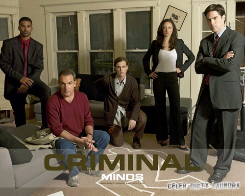 Criminal Minds RECAP 12/11/13: Season 9 Episode 11 “Bully”
