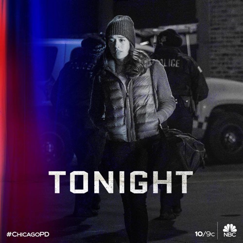 Chicago PD Recap 01/15/20: Season 7 Episode 11 “43rd and Normal”