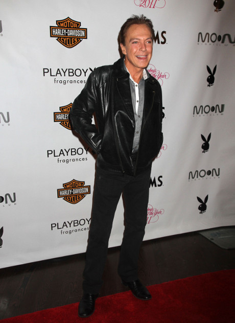 David Cassidy’s Secret Daughter, Shelly Wright, Crawls Out of the Woodwork: She Demands to be Acknowledged!