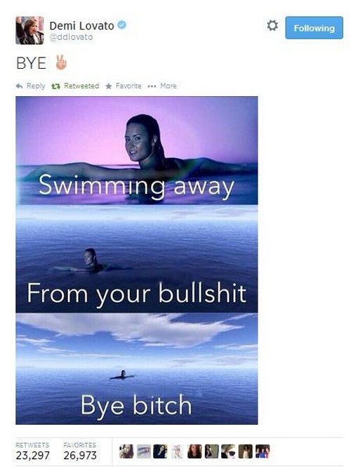 Demi Lovato Hits Out Against Selena Gomez on Twitter, Former BFFs Now Feuding