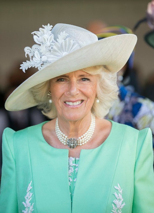 Camilla Parker-Bowles High Net Worth To Soar After Prince Charles Becomes King