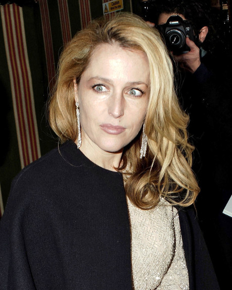 David Duchovny and Gillian Anderson Romantic Hookup at Comic-Con 2013!