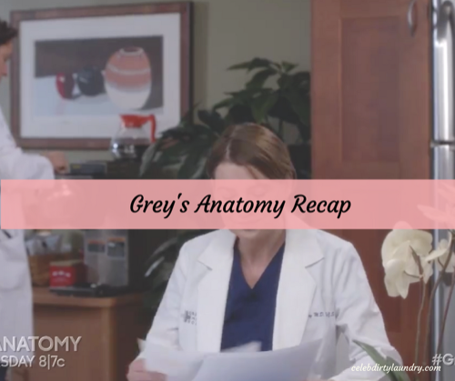 Grey’s Anatomy 3/9/17 Recap: Season 13 Episode 15 “Civil War”